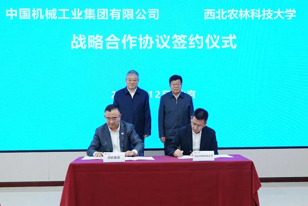 W020250102321499045490 mg冰球突破·豪华版(试玩)官方网站